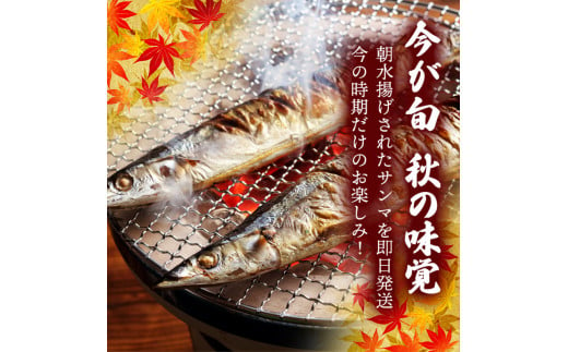 焼き魚が特においしい季節になりました!