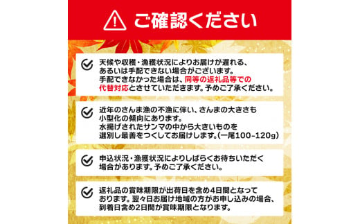 岩手大船渡産 鮮さんま 16本入 さかな おさかな 魚 鮮魚 新鮮 生魚 焼き魚 FISH ごはん 夕飯 おかず おつまみ 晩酌 海産物 海鮮 魚介 魚介類 大船渡 三陸 岩手県 国産