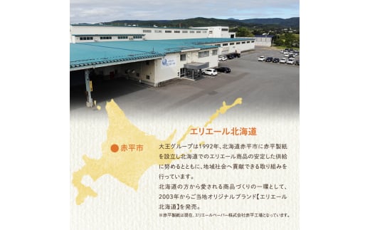 2ヵ月連続お届け 計144ロール エリエール 北海道 トイレット 消臭なまらたっぷり 2倍巻 ダブル 50m 香り付き 消臭 なまらたっぷり2倍巻 大容量  防災 常備品 備蓄品 消耗品 日用品 生活必需品 送料無料 赤平市