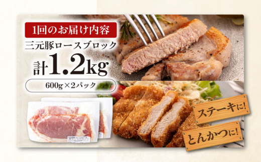 肉 豚肉 ロース ブロック ローストポーク 煮豚 酢豚 煮物 冷凍配送