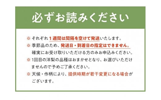 SE0349　【3回定期便】庄内産 洋梨3種味比べ定期便2025 (洋梨〔品種おまかせ〕 、ラ・フランス、シルバーベル/各約3kg)