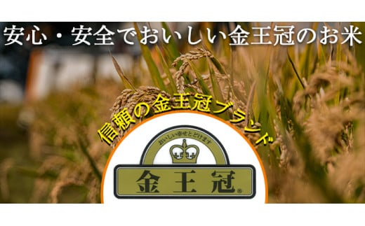 北海道産 ななつぼし 10kg(5kg×2袋) 令和5年産 YES!clean 北海道安心ラベル 米 お米 ライス rice 道産米 北海道南幌町 南幌町 NP1-466