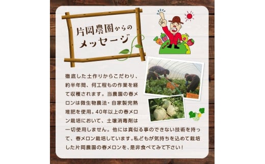 来年2026年先行予約！【発送5月下旬～】 最高糖度21度！奇跡のキスグリーン メロン 2玉 青肉 めろん おすすめ 人気 国産 青 産地直送 茨城 鉾田 フルーツ 旬 大きい プレゼント 贈り物 贈答 旬 定番 果物 くだもの 大玉 甘い 青肉