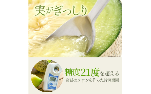 来年2026年先行予約！【発送5月下旬～】 最高糖度21度！奇跡のキスグリーン メロン 2玉 青肉 めろん おすすめ 人気 国産 青 産地直送 茨城 鉾田 フルーツ 旬 大きい プレゼント 贈り物 贈答 旬 定番 果物 くだもの 大玉 甘い 青肉