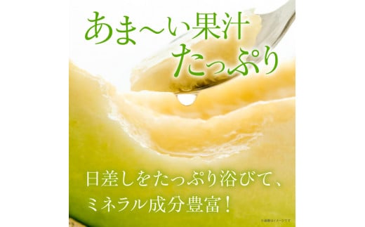 来年2026年先行予約！【発送5月下旬～】 最高糖度21度！奇跡のキスグリーン メロン 2玉 青肉 めろん おすすめ 人気 国産 青 産地直送 茨城 鉾田 フルーツ 旬 大きい プレゼント 贈り物 贈答 旬 定番 果物 くだもの 大玉 甘い 青肉