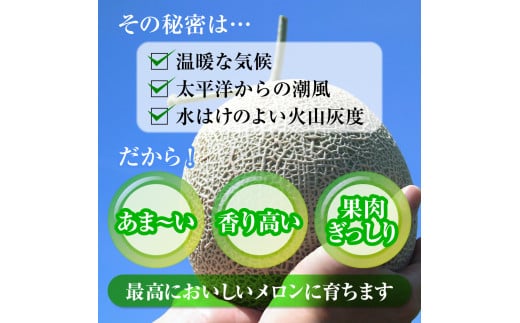 来年2026年先行予約！【発送5月下旬～】 最高糖度21度！奇跡のキスグリーン メロン 2玉 青肉 めろん おすすめ 人気 国産 青 産地直送 茨城 鉾田 フルーツ 旬 大きい プレゼント 贈り物 贈答 旬 定番 果物 くだもの 大玉 甘い 青肉