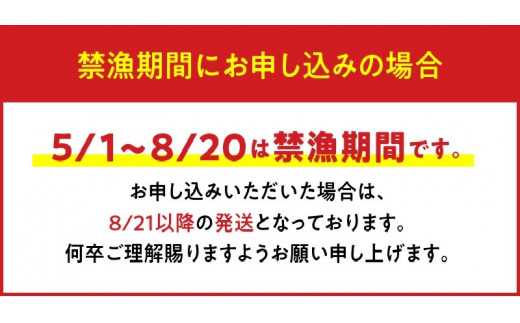 ■【漁師直送】 活き〆冷凍 天然伊勢海老1kg（3～4尾）と夜光貝（1個）のセット　W005-011u