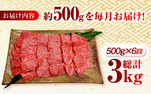 【月1回約500g×6回定期便】長崎和牛 ロース 焼肉用 計3kg 長崎県/長崎県農協直販 [42ZZAA165]　 肉 牛 和牛 ロース 焼肉 焼き肉 西海市 長崎 九州 定期便