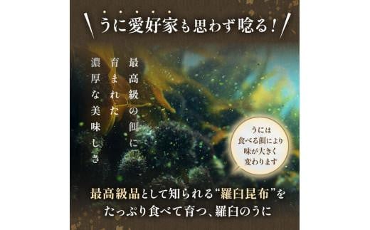 【先行予約】天然 エゾバフンうに （特上） 食べ比べ2枚（折うに120g1枚・塩水うに100g1枚）北海道 知床 羅臼産