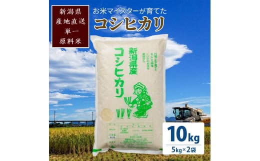 米 お米マイスターが育てた 特別栽培米 コシヒカリ 上越頸城産 令和5年産 10kg(5kg×2袋)白米 お米 こめ