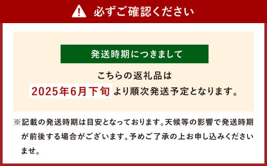 環境マイスターの【良品】アップルマンゴー 1kg