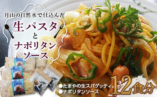 FYN9-480 【玉谷製麺所】たまやの生パスタ・ナポリタンセット（12食分）めん 麺 麺類 山形県 西川町