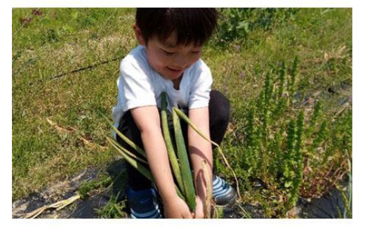 農園はなうた お野菜収穫体験券 5名様まで