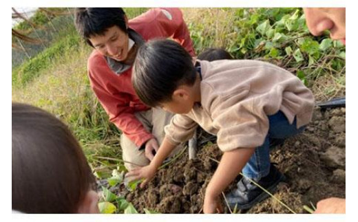 農園はなうた お野菜収穫体験券 5名様まで