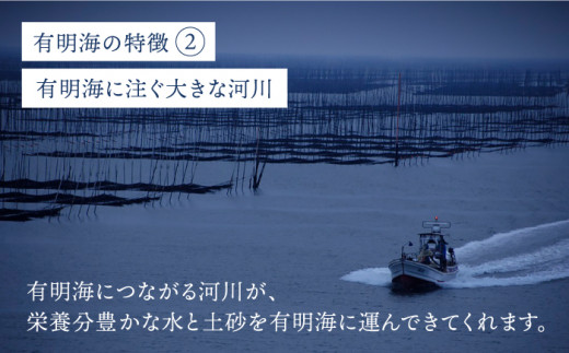 【全12回定期便】＜焼きのり・味付けのり＞佐賀海苔 有明の華 株式会社サン海苔/吉野ヶ里町 [FBC050]