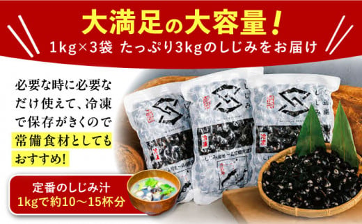 地元でも入手困難なレアサイズ！ Lサイズ 宍道湖産ヤマトシジミ(冷凍砂抜き済み)1kg×3袋(3kg)島根県松江市/宍道湖漁業協同組合 [ALAZ002]