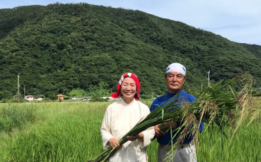 奄美大島　龍郷町安木屋場産　まこも茶おたのしみセット（40g×3袋）