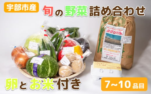 宇部産のお米と野菜 ＜楠こもれびの郷「楠四季菜市」＞【新鮮野菜 宇部市産 季節野菜 詰合せ 直送   野菜セット 旬の野菜 地元産 新鮮食品 野菜ボックス】