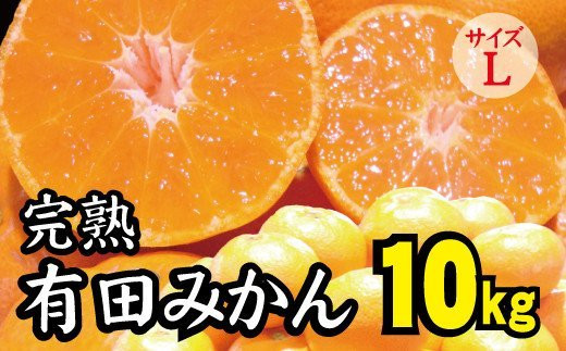 【2022年秋以降発送予約分】＼光センサー選別／ 【農家直送】完熟有田みかんLサイズ　約10kg  有機質肥料100%　※2022年11月上旬より順次発送予定（お届け日指定不可）【nuk105】