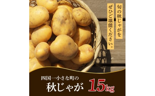 【四国一小さなまちのじゃがいも】★令和6年11月中旬発送開始★ 大野台地で採れた『 令和6年産 秋じゃが 』 15kg