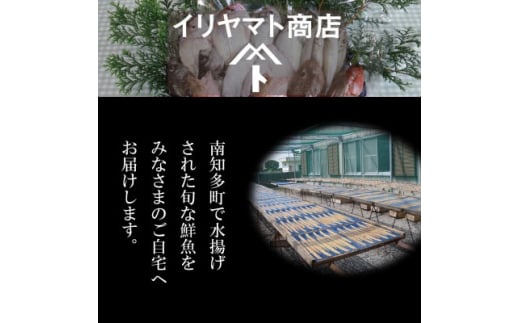 詰め合わせ 鮮魚 旬 3 ~ 6種 鯛 メバル カサゴ イカ カレイ ヒラメ 詰め合わせ セット 愛知県 南知多町 海鮮 海の幸 セット 魚介 新鮮 人気 おすすめ