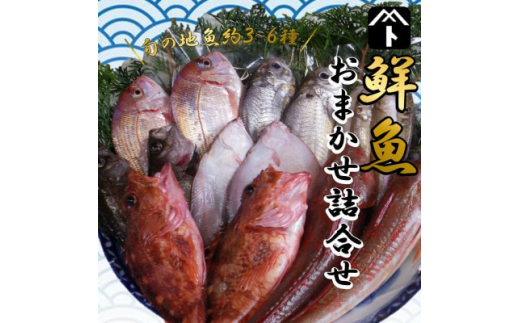 詰め合わせ 鮮魚 旬 3 ~ 6種 鯛 メバル カサゴ イカ カレイ ヒラメ 詰め合わせ セット 愛知県 南知多町 海鮮 海の幸 セット 魚介 新鮮 人気 おすすめ