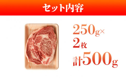 博多和牛サーロインステーキ 500g（250g×2）	黒毛和牛 お取り寄せグルメ お取り寄せ 福岡 お土産 九州 福岡土産 取り寄せ グルメ 福岡県