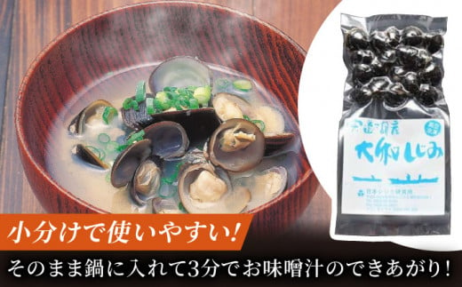 【年内発送対象】生産量日本一！宍道湖産 ヤマトシジミMサイズ(真空冷凍) 80g×15袋 島根県松江市/有限会社日本シジミ研究所 [ALBS001]