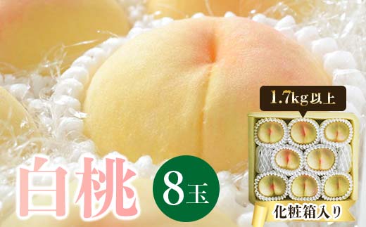 先行予約＜2025年発送＞岡山県産 白桃 8玉(1.7kg以上) 化粧箱入り TY0-0393