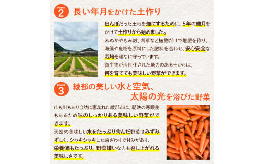 丸かじりできる！甘いにんじん(約5kg)【発送時期：11月中頃〜2月】丸かじり 甘い 人参 安心 安全 季節の野菜 新鮮 農薬不使用 フルーティ 京都 綾部 農家直送 5kg ジュース 緑黄色野菜 野菜 美肌 美白 5キロ 葉 葉っぱ 葉付き にんじん 丸ごと まるごと 赤ちゃん 国産 無農薬 離乳食