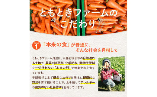 丸かじりできる！甘いにんじん(約5kg)【発送時期：11月中頃〜2月】丸かじり 甘い 人参 安心 安全 季節の野菜 新鮮 農薬不使用 フルーティ 京都 綾部 農家直送 5kg ジュース 緑黄色野菜 野菜 美肌 美白 5キロ 葉 葉っぱ 葉付き にんじん 丸ごと まるごと 赤ちゃん 国産 無農薬 離乳食