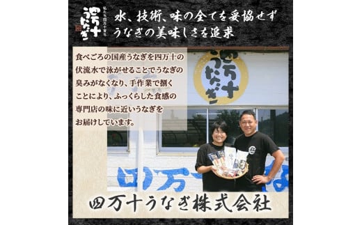 うなぎ蒲焼き きざみ（80g×3袋）セット Esu-23 冷凍 特大 たれ付き 蒲焼 国産 鰻 ウナギ うなぎ 蒲焼き 肉厚 土用の丑の日 本格うなぎ 山椒付き 小分け 四万十鰻 おすすめ