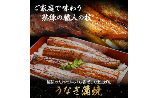 うなぎ蒲焼き きざみ（80g×3袋）セット Esu-23 冷凍 特大 たれ付き 蒲焼 国産 鰻 ウナギ うなぎ 蒲焼き 肉厚 土用の丑の日 本格うなぎ 山椒付き 小分け 四万十鰻 おすすめ