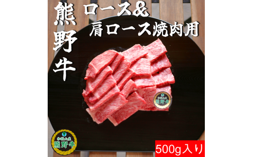 L558　【熊野牛定期便】（２）　ロース５００ｇ（ステーキ、焼肉、すき焼き・しゃぶしゃぶ用）最終月１００ｇ増量