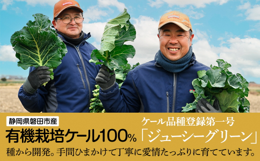 ＜毎月定期便＞手軽に野菜摂取!＜無添加 ケールまるごと100%青汁＞スーパーフード全6回【4003778】