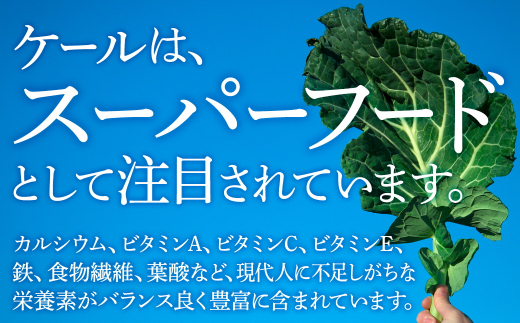 ＜毎月定期便＞手軽に野菜摂取!＜無添加 ケールまるごと100%青汁＞スーパーフード全6回【4003778】