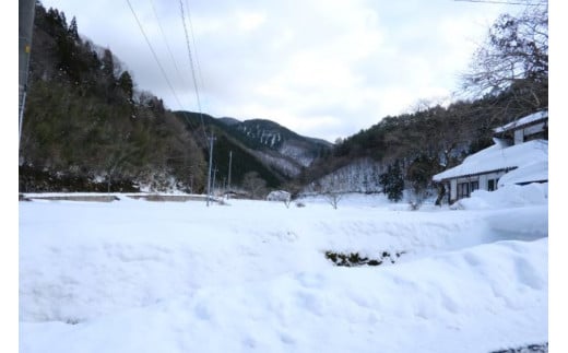 雪が多い地域で作られます（2020年12月撮影）