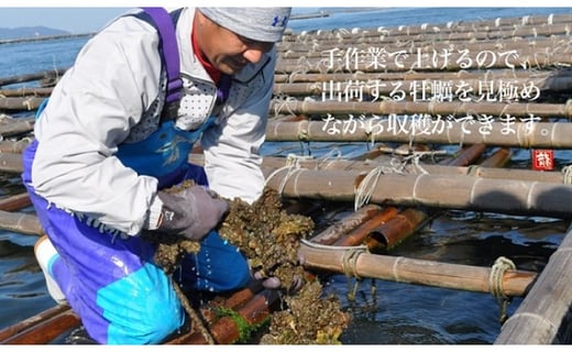 殻付活牡蠣カンカン焼セット 4kg (加熱用)（予約受付中：旬にお届け！2025年1月頃から期間限定出荷！）【B-7】