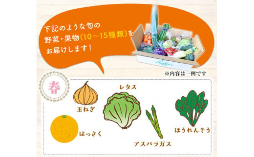 【6ヶ月定期便】  旬の新鮮野菜・果物詰合せセット (計6回お届け)たっぷり10-15品目 《お申込み月の翌月から出荷開始》熊本県氷川町産 道の駅竜北