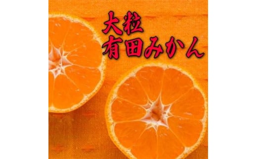 【先行予約】迫力満点！大粒有田みかん7.5kg【2024年11月中旬より発送】【果汁たっぷり】【ミカン 蜜柑 オレンジ 柑橘 温州みかん 和歌山 有田 大玉】