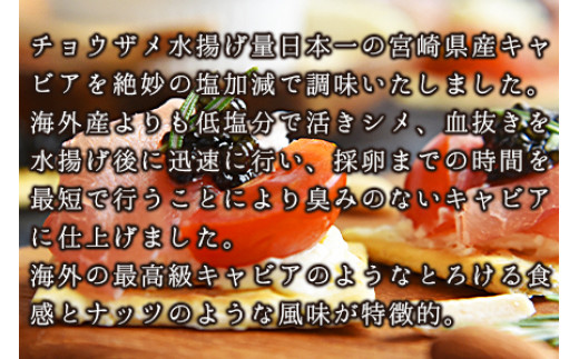 【訳あり】＜クニトミキャビア 240gセット(20g×12)＞【 魚卵 高級 魚 魚介 卵 贅沢 クラッカー 珍味 パーティー 記念日 誕生日 お祝い 国産 チョウザメ フレンチ わけあり ワケアリ 訳アリ 家庭用 】翌月末迄に順次出荷