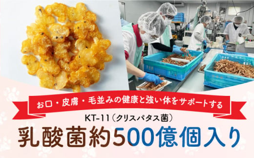 Softbits （果物）キウイ（40g×6P）長崎県/株式会社サポート [42AEAE010] ソフトビッツ ドッグ フード いぬ 犬 イヌ おやつ ペット 乳酸菌 国産 果物 くだもの キウイ シニア 幼犬 老犬 小分け 小型犬 中型犬 大型犬 ドック 安心 犬のおやつ フルーツ