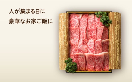 【6回定期便】 長崎和牛 焼肉 ロース 約500g 長与町/ワタナベ商店 [ECT019]