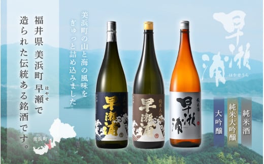 【早瀬浦】純米大吟醸 1800ml × 1本 ＆ 大吟醸 1800ml × 2本 ＆ 純米酒 1800ml × 1本 セット【入手困難 飲み比べ 日本酒 地酒 福井 美浜 早瀬 フルーティ 男酒 硬水 ミネラル 希少 ご褒美 家飲み 就職祝い 転職祝い ハレの日】 [m16-j004]