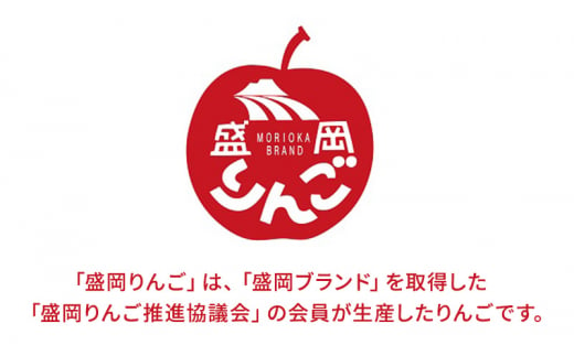 先行予約【12月発送】朝島観光りんご園 食べ比べ りんご詰め合わせ「味恋セット」約5kg