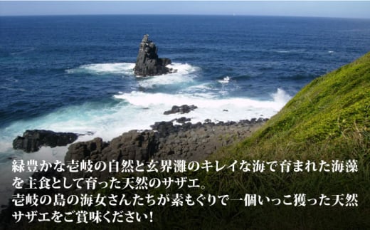 【全12回定期便】秘伝のタレ サザエのつぼ焼き 6個×3パック（計18個）[JDB131] 192000 192000円