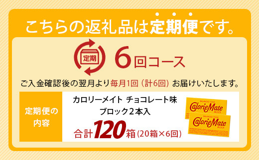 【6回定期便】≪チョコレート味≫ カロリーメイトブロック 2本入り 計20箱 ×6回 合計120箱【徳島 那賀 大塚製薬 カロリーメイト チョコ ビタミン ミネラル たんぱく質 脂質 糖質 5大栄養素 バランス栄養食 栄養補給 仕事 勉強 スポーツ 防災 災害 地震 非常食 常備食 備蓄 受験 受験応援 新生活】MS-5-6-choco