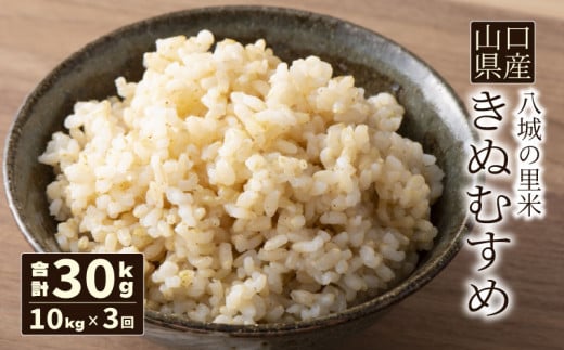 【期間限定特価】 玄米 3ヶ月】きぬむすめ 先行予約】【定期便 10kg 令和 合計30kg 米・雑穀・粉類