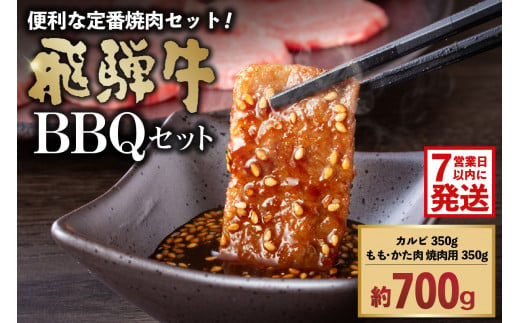 【7営業日以内発送】 飛騨牛BBQセット（カルビ350g、もも・かた肉 焼き肉用350g）【 早期発送  岐阜県 可児市 肉 お肉 ブランド ブランド牛 バーベキュー 詰め合わせ お取り寄せ グルメ 】