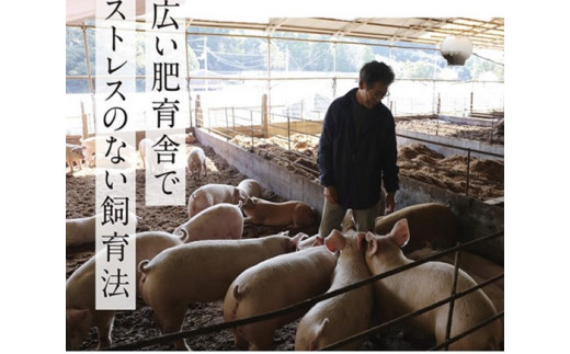 ※画像はイメージです。